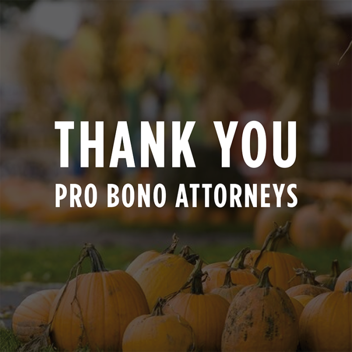 pro bono thank you-1 Thank you pro bono attorneys