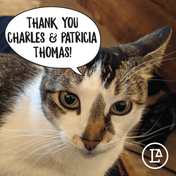 2021 Year-End Donor Thank You (103)