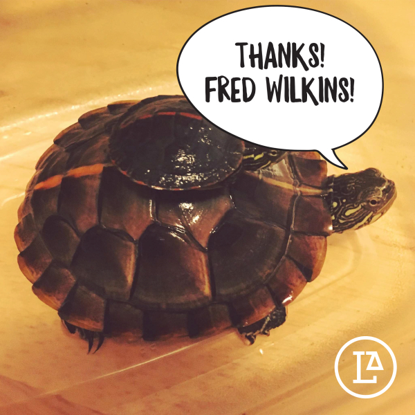 2021 Year-End Donor Thank You (109)