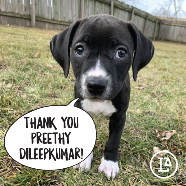 2021 Year-End Donor Thank You (35)