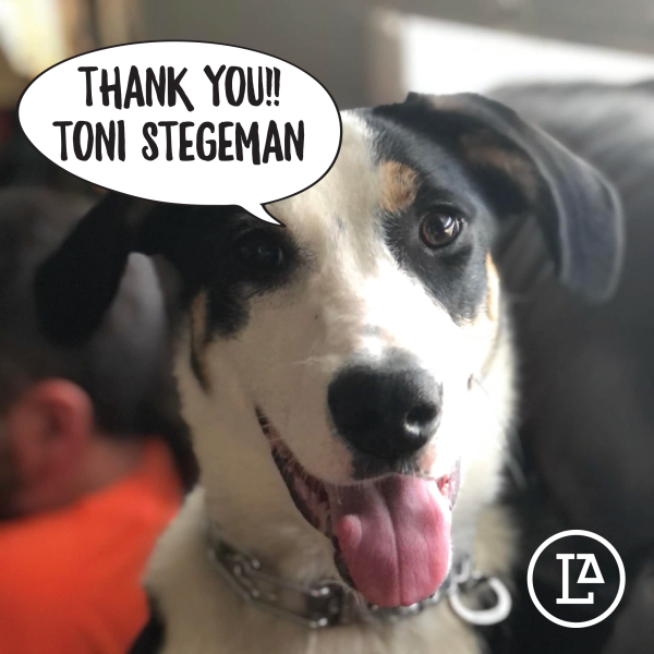 2021 Year-End Donor Thank You (50)