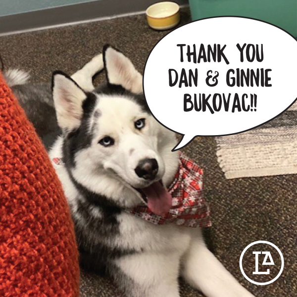 2021 Year-End Donor Thank You (77)