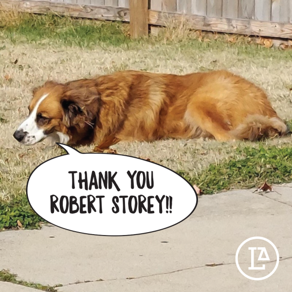 2021 Year-End Donor Thank You (90)