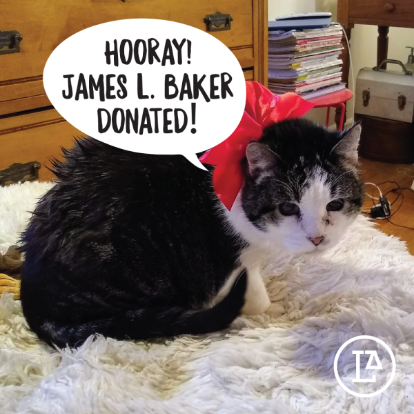 2021 Year-End Donor Thank You (95)