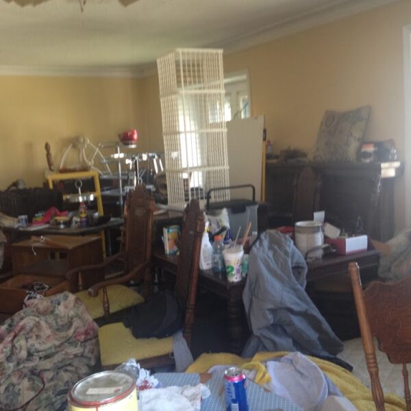 Urban Homesteading (5)