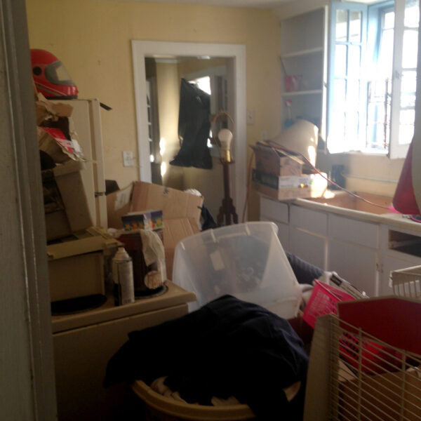 Urban Homesteading (6)