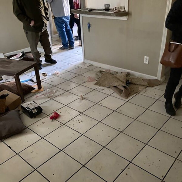 Blue Ridge Before (14)