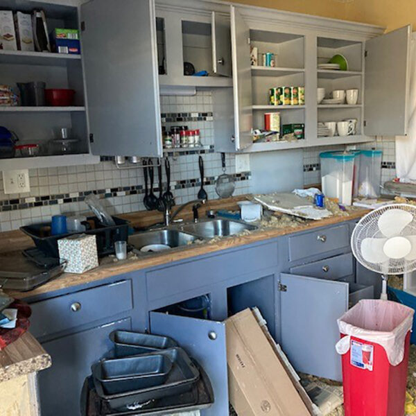 Blue Ridge Before (18)