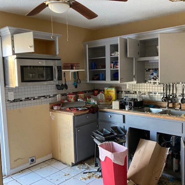 Blue Ridge Before (2)